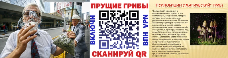 мориарти формула  Спасск-Дальний  Галлюциногенные грибы мицелий  мега ссылка 