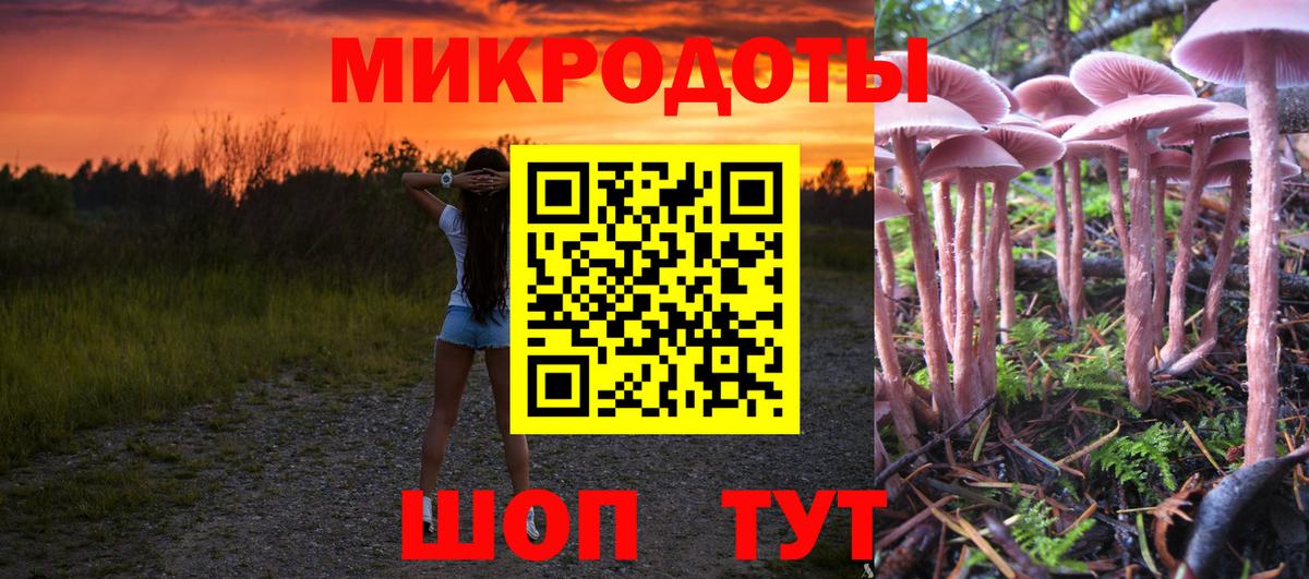 Галлюциногенные грибы GOLDEN TEACHER Спасск-Дальний