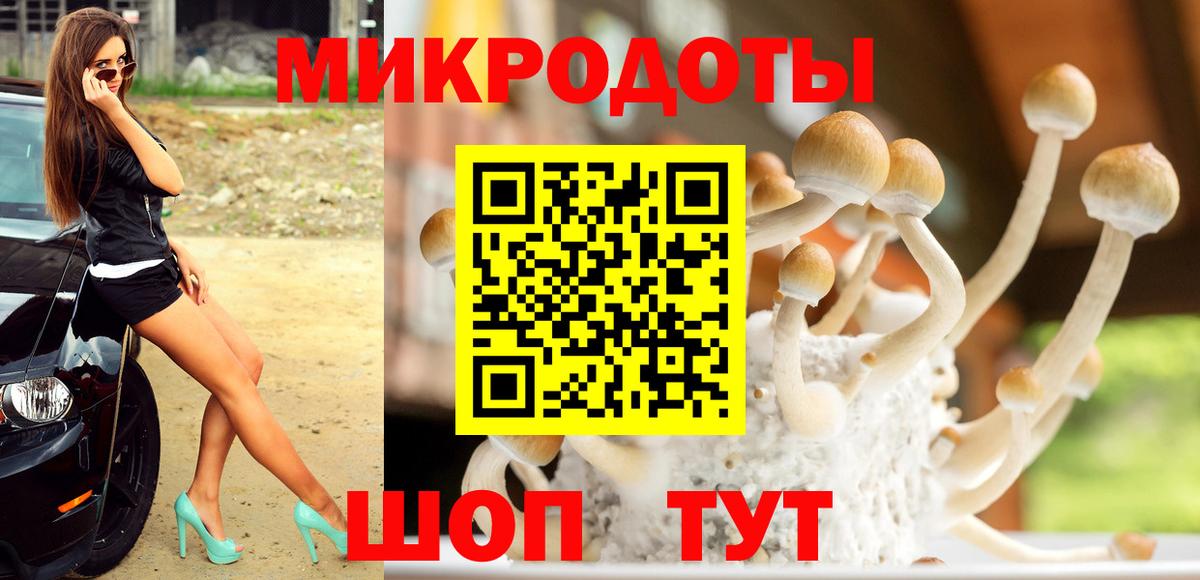 Спасск-Дальний  Галлюциногенные грибы MAGIC MUSHROOMS  Вход с VPN  Галлюциногенные грибы мицелий 